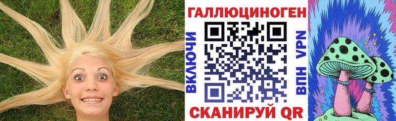 Купить закладки Венёв Псилоцибиновые грибы мицелий